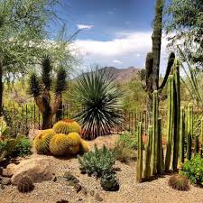 We did not find results for: Xeriscaping For Beginners Guide To Xeriscape Plants More