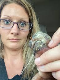 SO…how do you get gum out of dog paw???!!!! Ugh Charlie!!! He's probably  secretly hoping for the peanut butter treatment. 😏