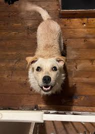 Breakfast bagel face … get in my belly 🥯