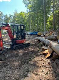 Richis tree service, llc provides expert tree care in centennial, englewood, highlands ranch & greenwood village, co. Robles Tree Service Llc Home Facebook