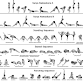 Ashtanga - Full Primary Series event image