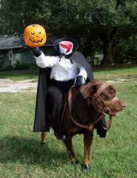 How To Properly Dress A Dog For Halloween Daily Lol Pics