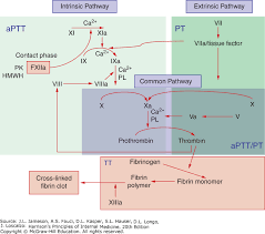 Coagulation Disorders Harrisons Principles Of Internal