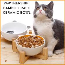 Ceramic bowls can easily need replacement after just one hard drop on the floor. Pawtnership Grey Cat Cartoon Ceramic Cat Food Bowls With Bamboo Rack Dog Food Bowls Pet Food Bowls Cat Food Bowl Shopee Malaysia