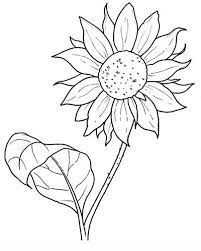 Pin On Coloring Pages