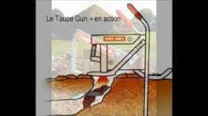 Piege a taupe a cartouche. Piege A Taupe Piege A Taupe Putange Piege A Taupe Gun Piege A Campagnol Terrestre Youtube