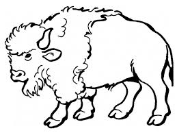 Free Printable Bison Coloring Pages For Kids Animal Coloring Pages Coloring Pages Outline Drawings