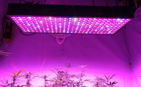 More images for taotronics 36w led grow light » Led Grow Lights Archives Led Lighting Life