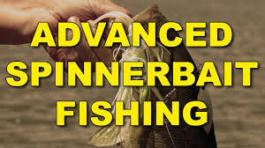 Selecting The Proper Spinnerbait The Ultimate Bass Fishing