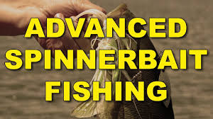 selecting the proper spinnerbait the ultimate bass fishing