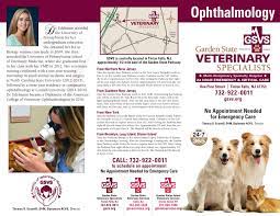 Ophthalmology Brochure Dr Edelmann Gsvs