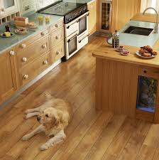 From Muddy Paw Prints To Household Accidents And Anything In Between Karndean Floors Are Designed With Pets In Flooring Kichen Design Pet Friendly Flooring