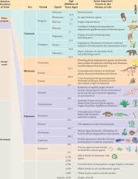 Picture Geologic Time Scale Earth Science Lessons Geology