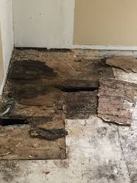 We Pulled Up The Subfloor And Guess What There Are Two More Layers Of Floor Under It They Re Complete Floor Remodel Diy Mobile Home Makeovers Bathroom Repair