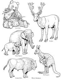 Welcome To Dover Publications Animal Illustration Animal Drawings Animal Templates