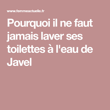 Pourquoi Il Ne Faut Jamais Laver Ses Toilettes A L Eau De Javel Eau De Javel Toilettes Javel