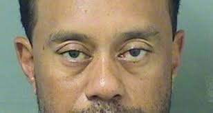 Whoa Tiger Woods Arrested On Suspicion Of Dui Tiger Woods Police Celebrity News