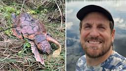 Oro när bussnät förändras