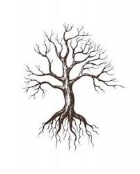 I Like The Trunk And Roots Of This Tree But It Has Too Many Branches Needs Some Leaves Too Tree Roots Tattoo Tree Drawing Roots Drawing