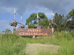 Jabiru Geneebeinga Wetlands 2021 2 Top Things To Do In Casino New South Wales Reviews Best Time To Visit Photo Gallery Hellotravel Australia