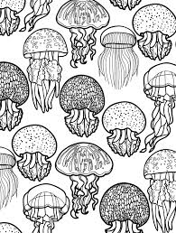 Feel free to make a coloring book with all your favorites. Free Printable Ocean Coloring Pages For Adults Coloring And Drawing
