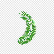 We did not find results for: Planta De Hoja Verde Hoja Arecaceae Euclidiana Decoracion De Hoja De Palma Verde Playa Hoja Png Pngegg