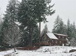 This family friendly park model cabin resort in the cool air of the arizona white mountains was designed to be a place of refuge from the hot valley sun with Tmc Vacation Rentals River Rock Mountain Cabin