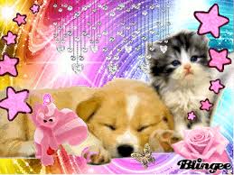 R&eacute;sultats de recherche d'images pour &laquo;&nbsp;animaux qui bouge&nbsp;&raquo;