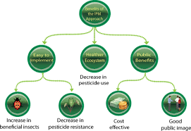 Ipm, or integrated pest management, is a pest control strategy that keeps insects and wildlife separate from you and your home or building. Integrated Pest Management Springtime Irrigation
