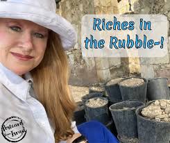 THE POOL OF SHIMMERING SHADOWS The driver walked to the back of the drag  and flipped the two heavy ramps over their hinges, letting them fall to the  ground with a thump.