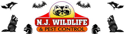 Pest control may be necessary for this area of your home. N J Wildlife Pest Control