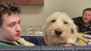 In 2020, 17-year-old Aidan Jackson from the UK was spending a quiet evening  in his room, immersed in online gaming. Everything seemed normal until,  without warning, he collapsed from a sudden and