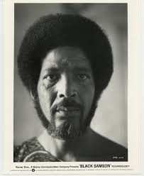 The Redd Foxx Show (TV Series 1986)