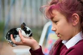 The school farm that's changing children's lives