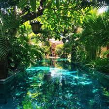 See This Instagram Photo By Phineloves 688 Likes Dream Pools Beautiful Pools Tropical Pool