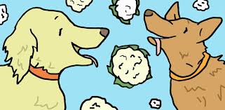 Dogs can eat asparagus without having any allergies or without causing any stomach illness of any kind. Can Dogs Eat Cauliflower Littlethings Com