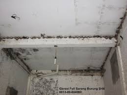Rumah Dijual Rumah Megah 2 Lt Plus Sarang Burung Sriti Walet