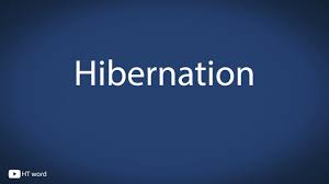 To pass the winter in a torpid or resting state bears hibernating in their dens. How To Pronounce Hibernation Youtube