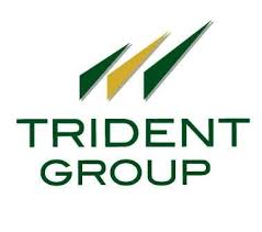 Trident Trident Share Price Chart Technical Analysis