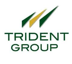 trident trident share price chart technical analysis