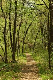 Wesselman Nature Society Walking In Nature Scenery Nature