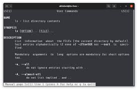 Understanding Man Pages in Linux [Beginner's Guide]
