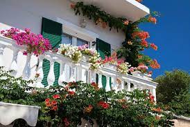 Piante pendenti da balcone pieno sole. Top 10 Piante Da Balcone Soleggiato Piante Da Giardino Piante Per Balcone Al Sole