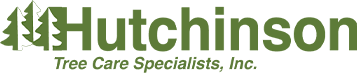 Tree services's trained tree services crew. Hutchinson Tree Care Specialists Inc Contact Us Greenwich Ct