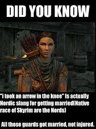Skyrim My Sister Got Mad At My Brother For Saying I Took An Arrow To The Knee Incorrectly Skyrim Funny Skyrim Memes Skyrim