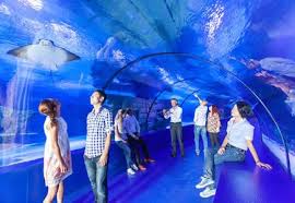 The World S Biggest Underwater Tunnel Aquarium With 131 Meters Lenght And 3 Meters Widht Antalya Akvaryum Ilham
