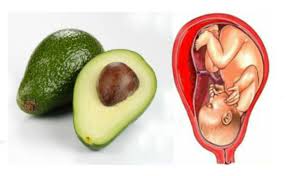 Pin On Wellness