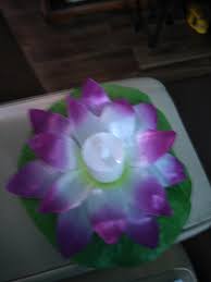 Explore floating flowers for pools. Led Floating Lotus Flower Lamps On Water Swimming Pool Garden Decoration Light Buy From 3 On Joom E Commerce Platform