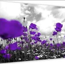 Purple Poppies Rememberance For The Animals That Served In War Purple Poppies Remembrance Day Poppy Craft
