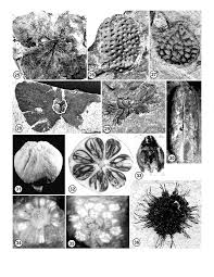 Washington Geology, October 2002